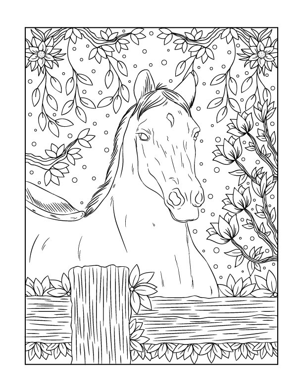 The morgan horse coloring book â willow bend publishing