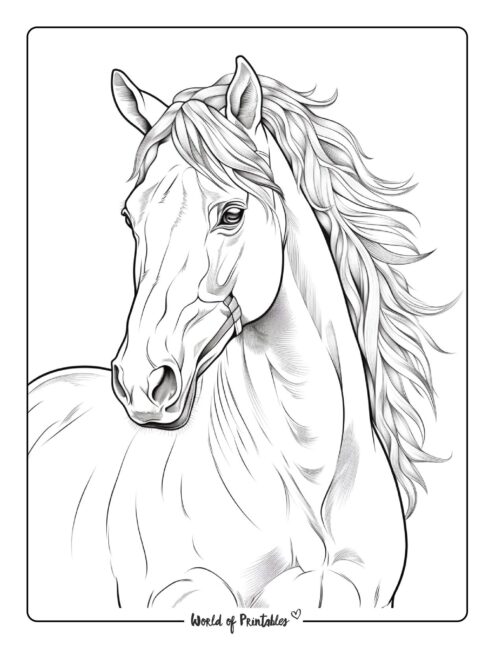 Horse coloring pages for kids adults