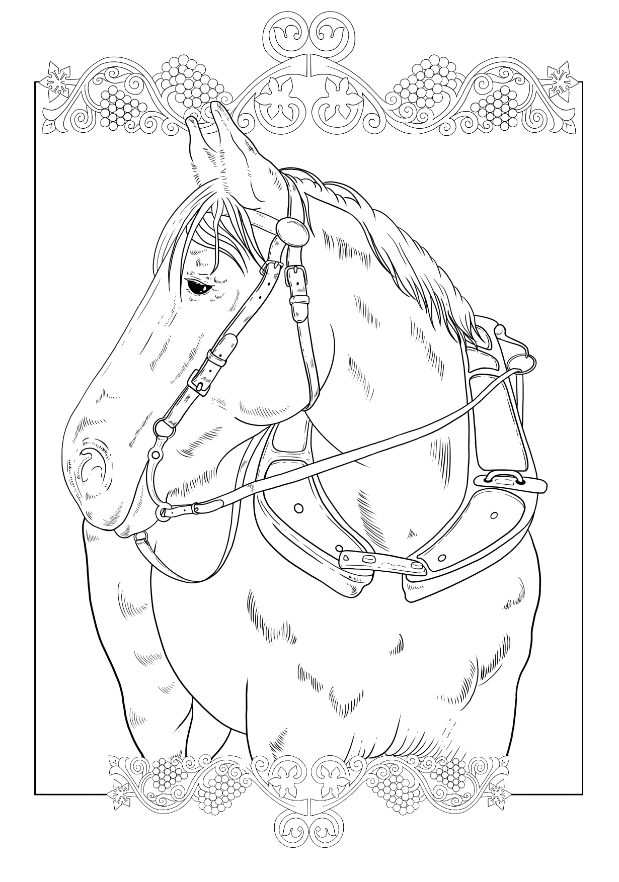 Free realistic horse colouring pages