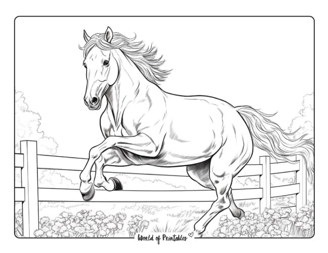 Horse coloring pages for kids adults