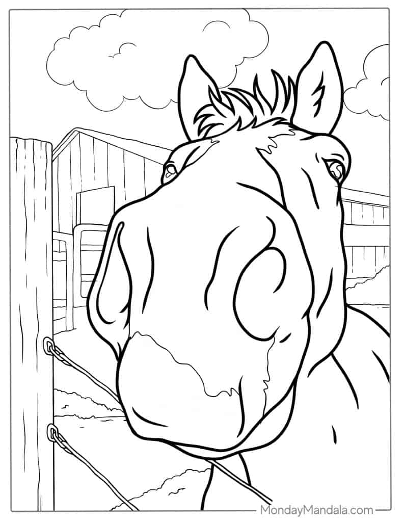 Horse coloring pages free pdf printables