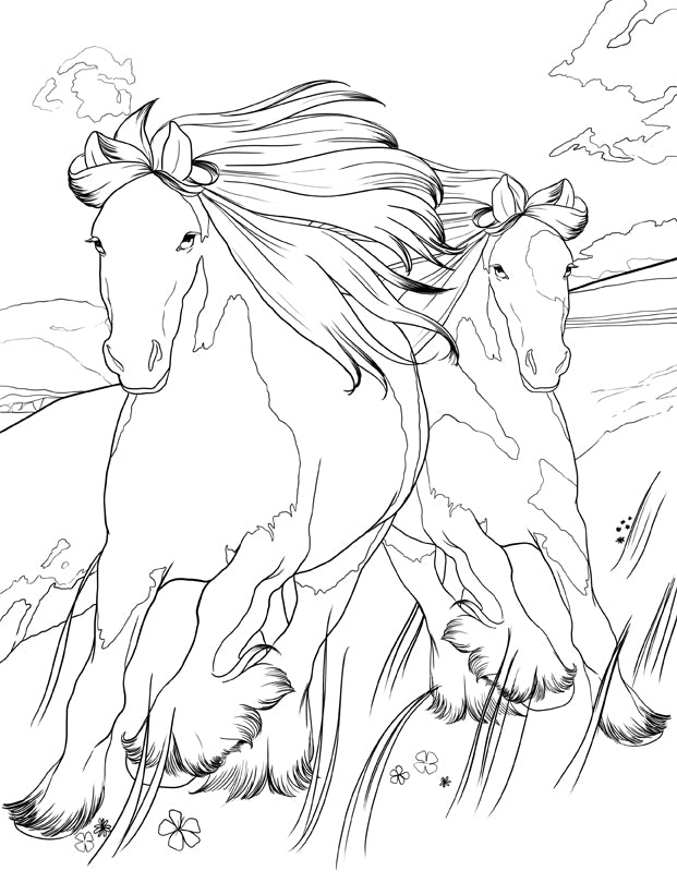 Horse coloring book for kids ages