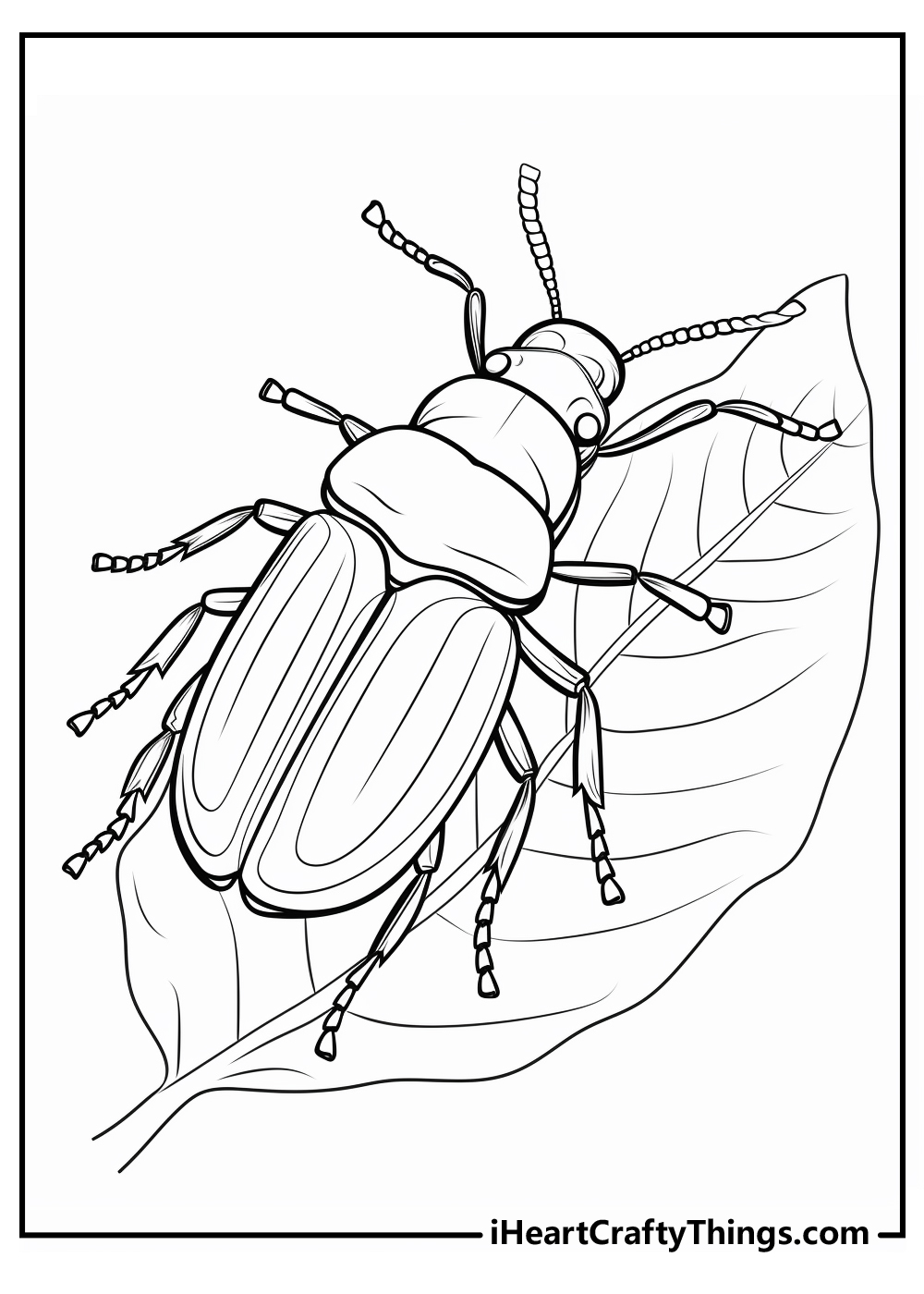 Bugs coloring pages free printables