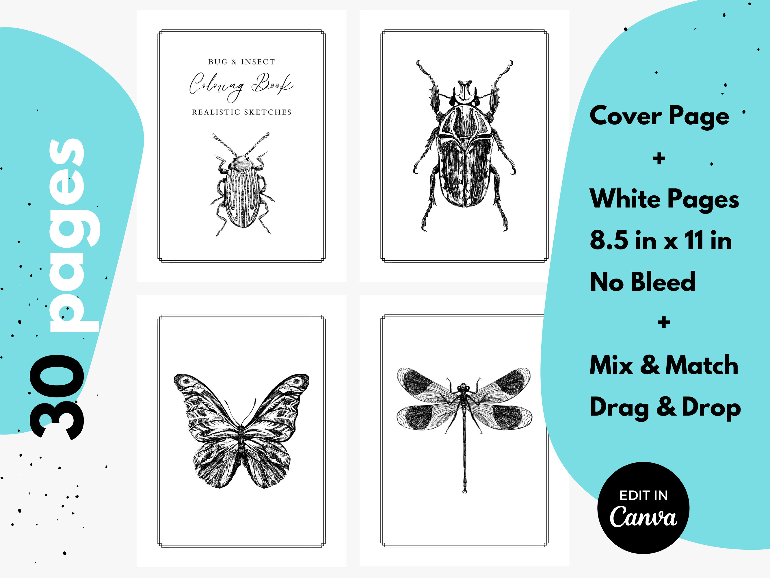 Kdp interior coloring pages bugs and insects canva template x