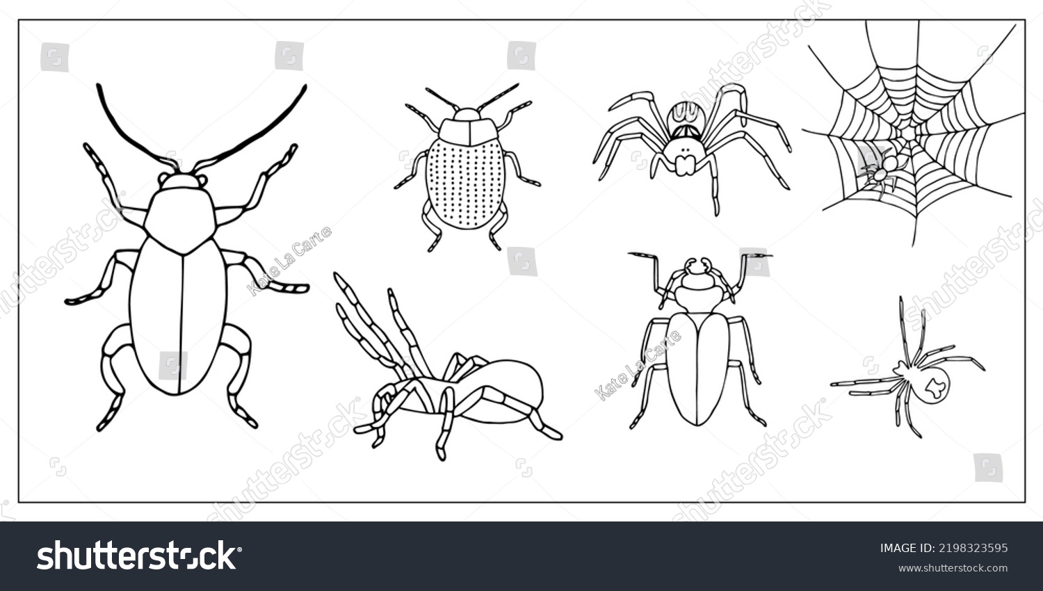 Beetles spiders set handdrawn doodle illustration stock vector royalty free