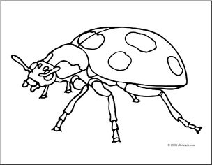 Clip art insects ladybug coloring page i