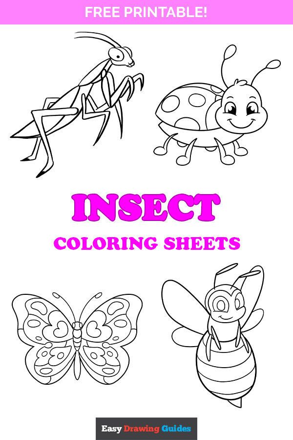 Free printable insect coloring pages for kids