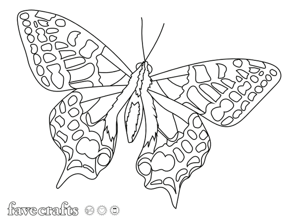 A simply elegant butterfly coloring page