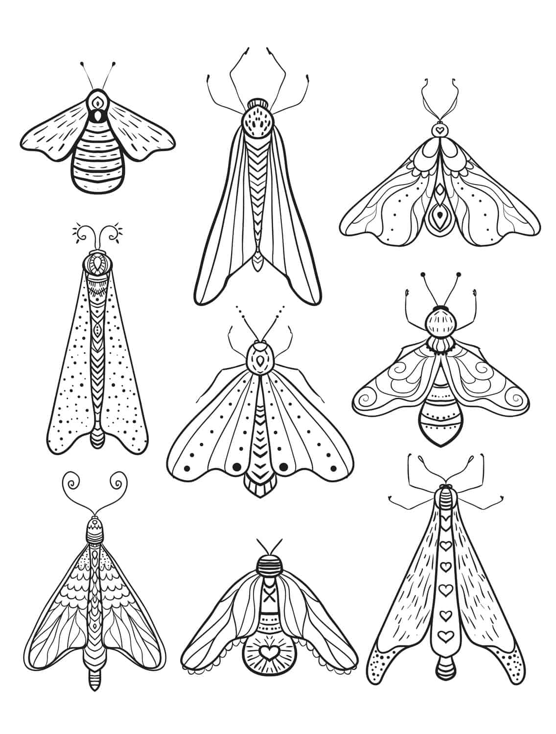 Free printable insect animal adult coloring pages