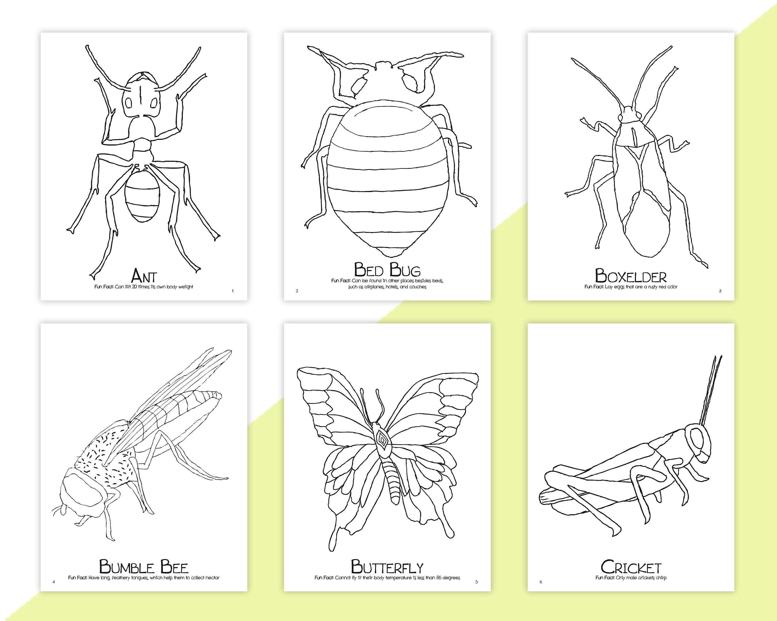 Doodle insect coloring fun coloring art creation insect coloring book coloring page bundle doodle coloring book bug coloring pages