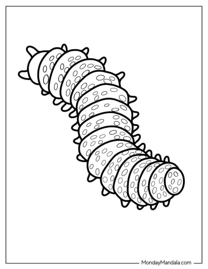 Caterpillar coloring pages free pdf printables