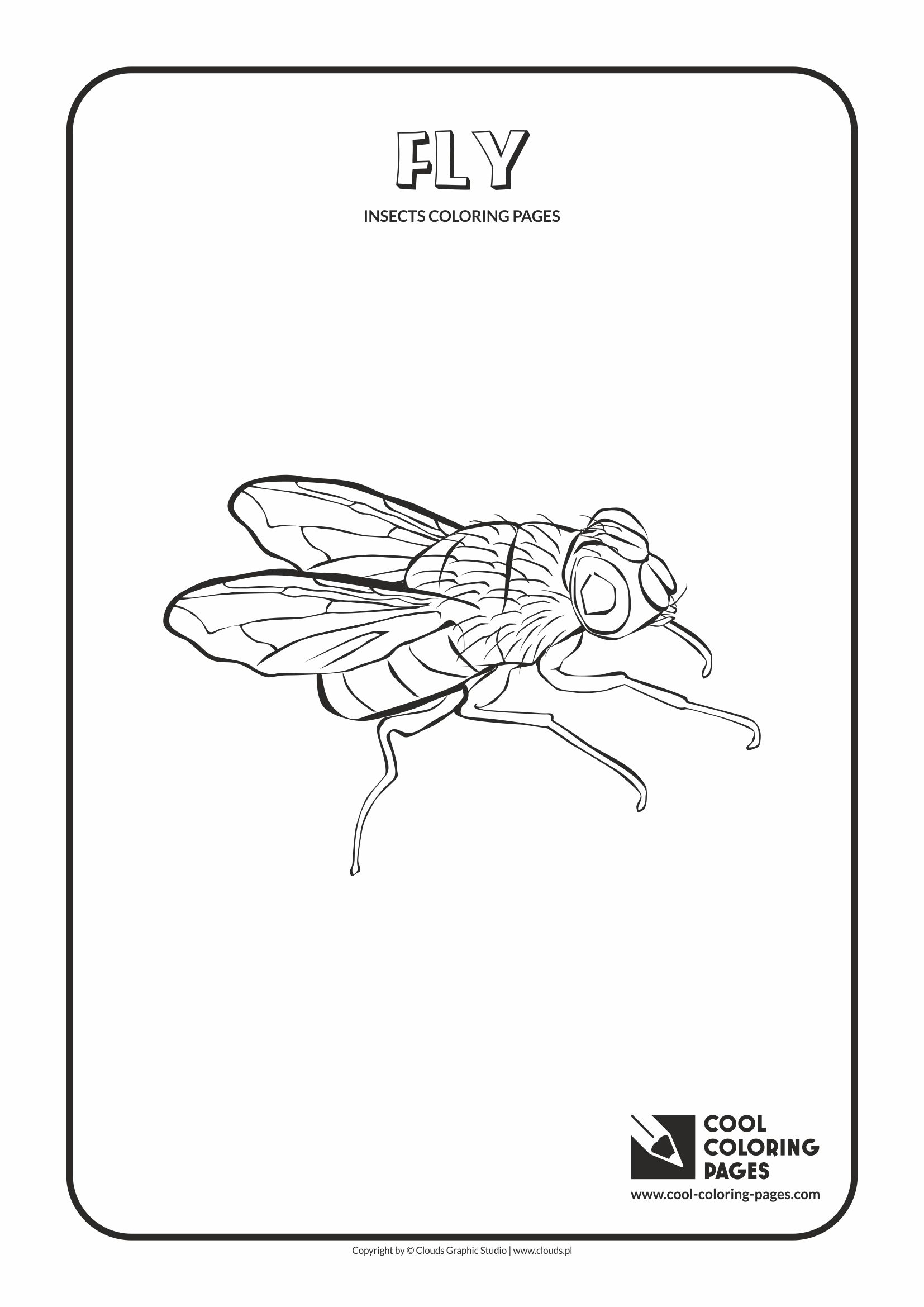 Cool coloring pages insects coloring pages