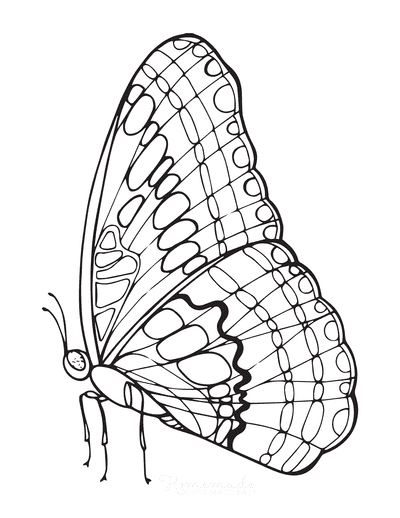 Free butterfly coloring pages for kids adults