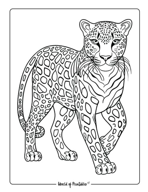 Animal coloring pages for kids adults