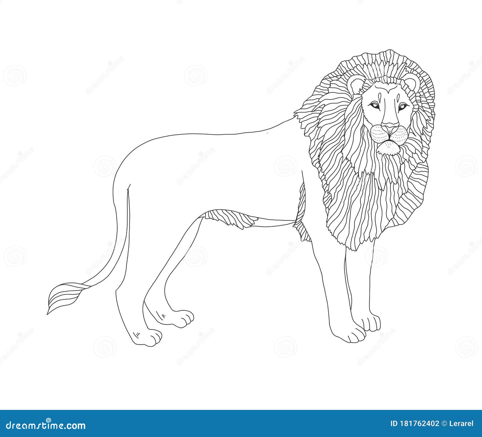 Vector coloring book for children and adults with a lion the king of animals a lion with a mane covered with patterns stock illustration