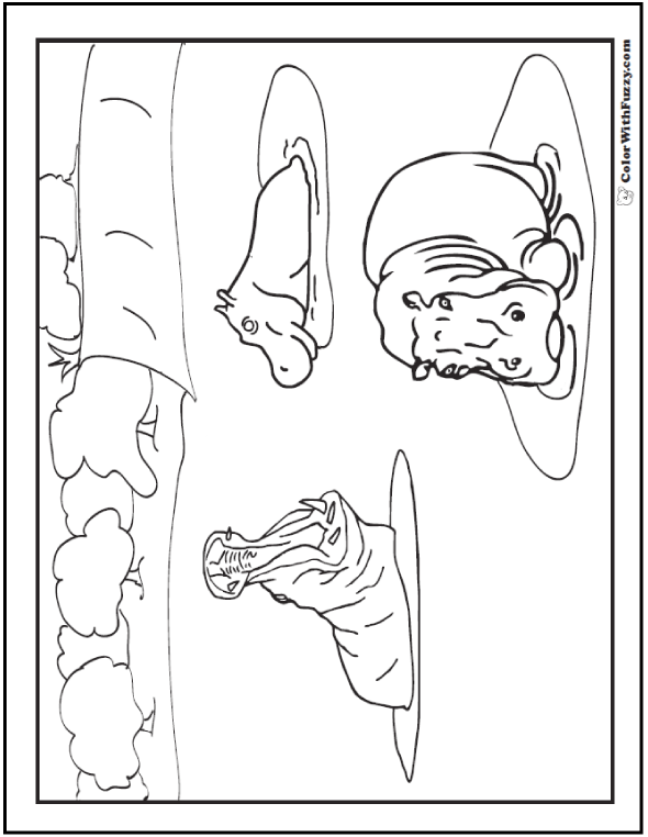 Hippo coloring pages h is for happy hippo