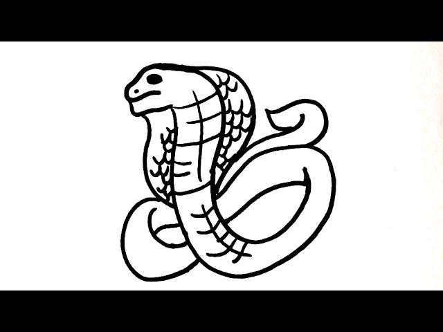 How to draw king cobra snake easy drawing step