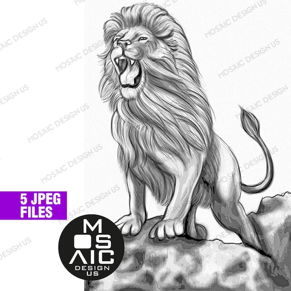 Realistic lion coloring pages lion drawing animal coloring book lion king art print digital poster print for wall decoration printable download now