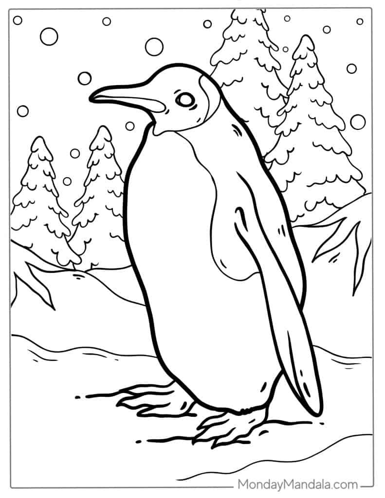 Penguin coloring pages free pdf printables