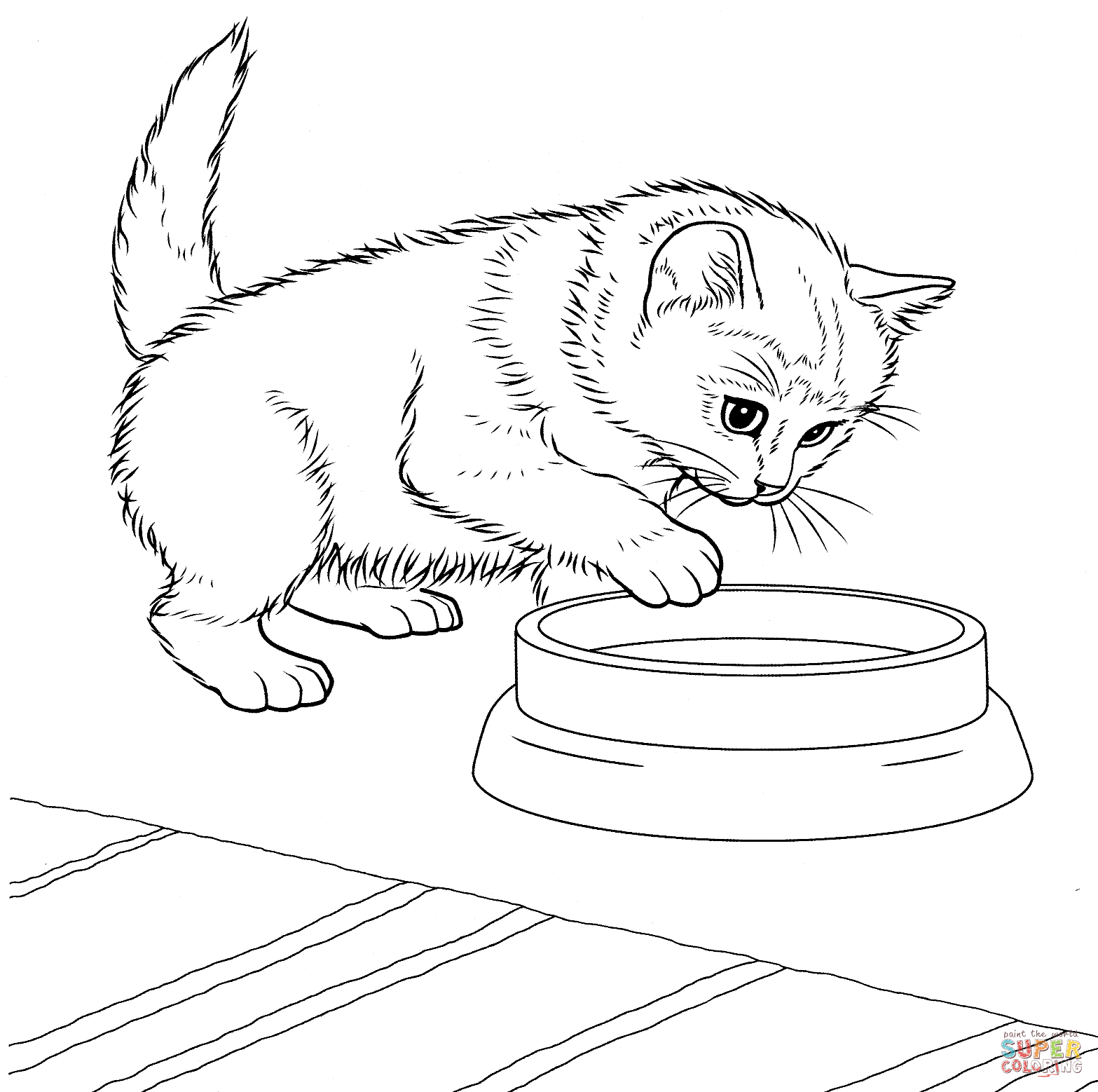 Javanese kitten coloring page free printable coloring pages
