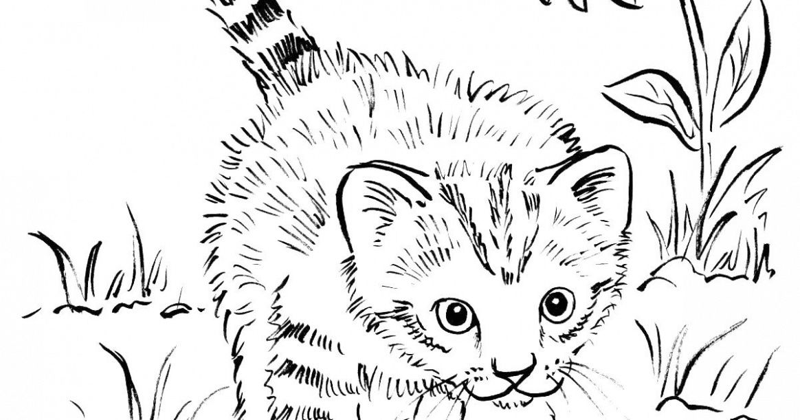 Printable coloring pages for kids