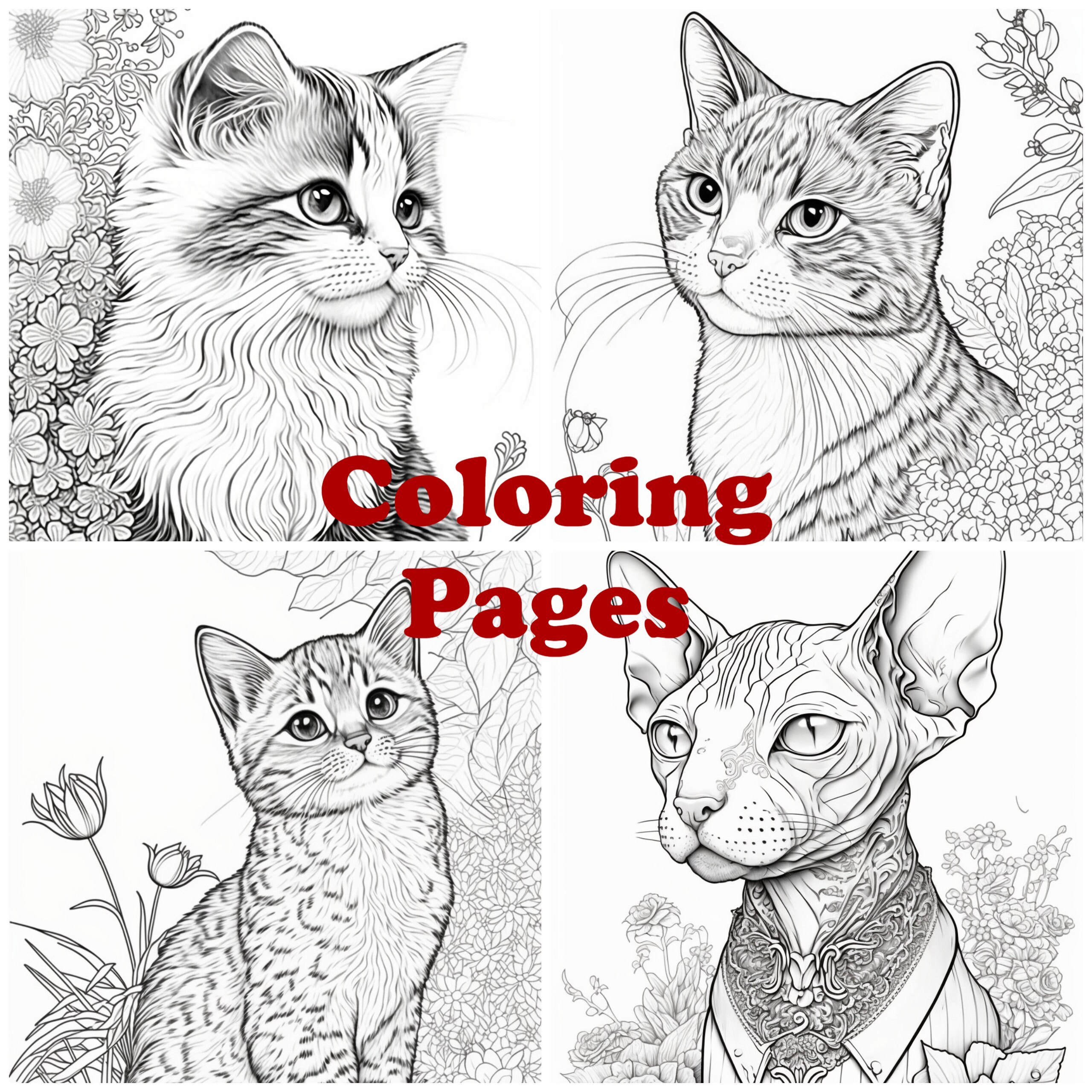 Cat coloring pages cat coloring sheets kitten coloring pages cat art