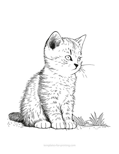 Coloring pages cats â templates