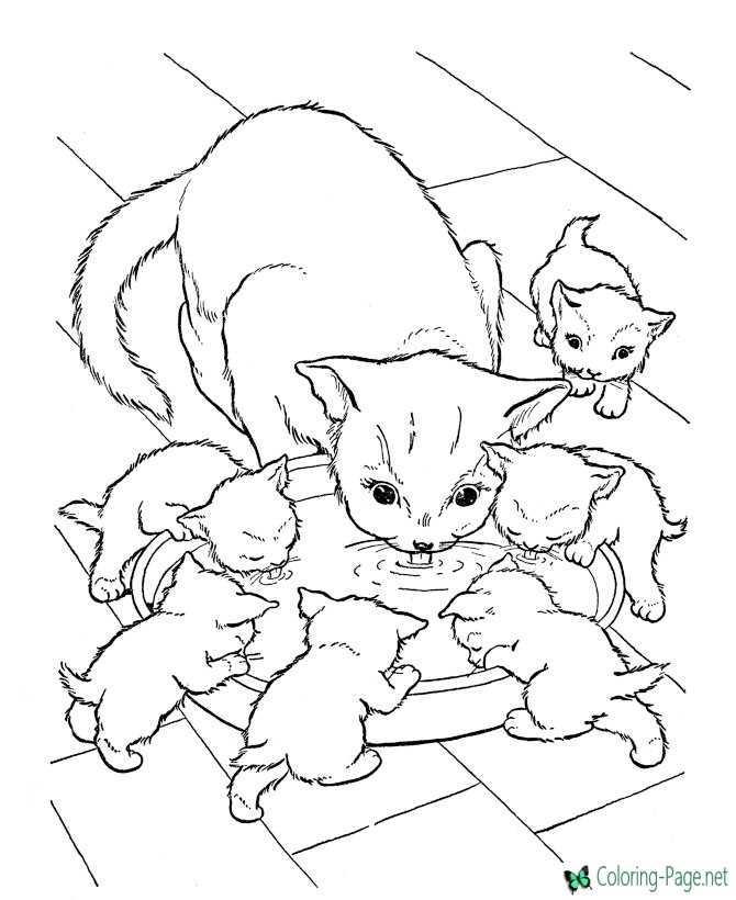 Cat with kittens coloring page