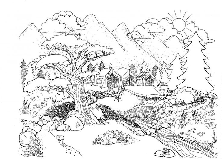 Coloring pages for adults nature