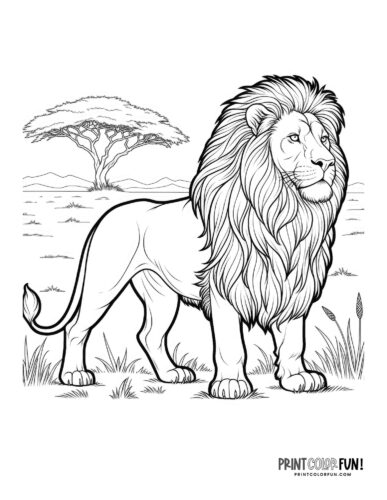 Lion clipart coloring pages with fun crafts facts activities for curious kids at