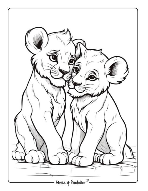 Lion coloring pages for kids adults