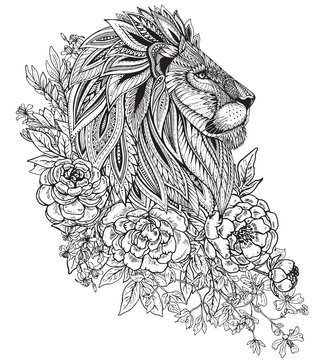 Lion coloring page for adults images â browse photos vectors and video