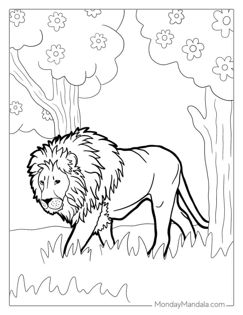 Lion coloring pages free pdf printables