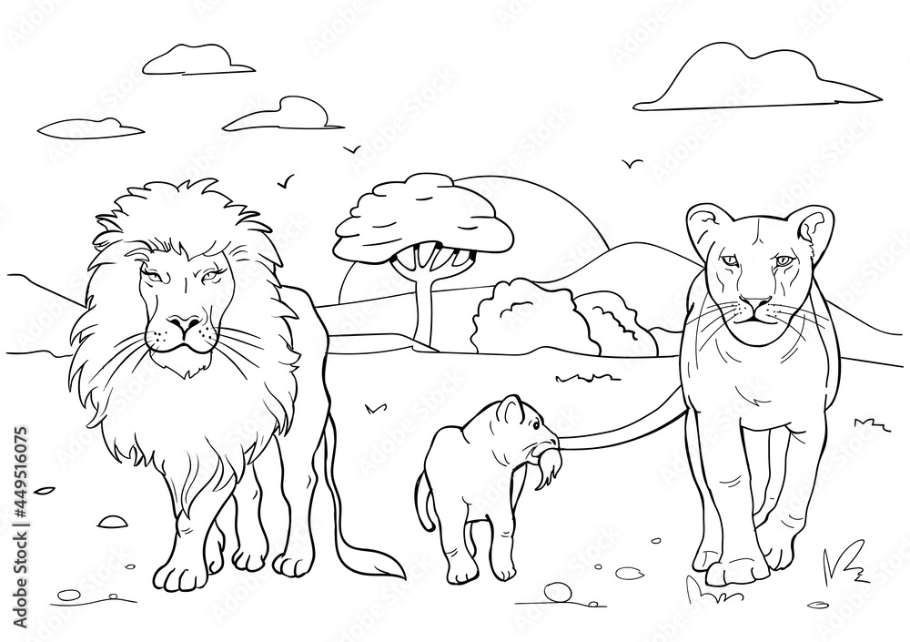 Grafika wektorowa realistic lion coloring pages