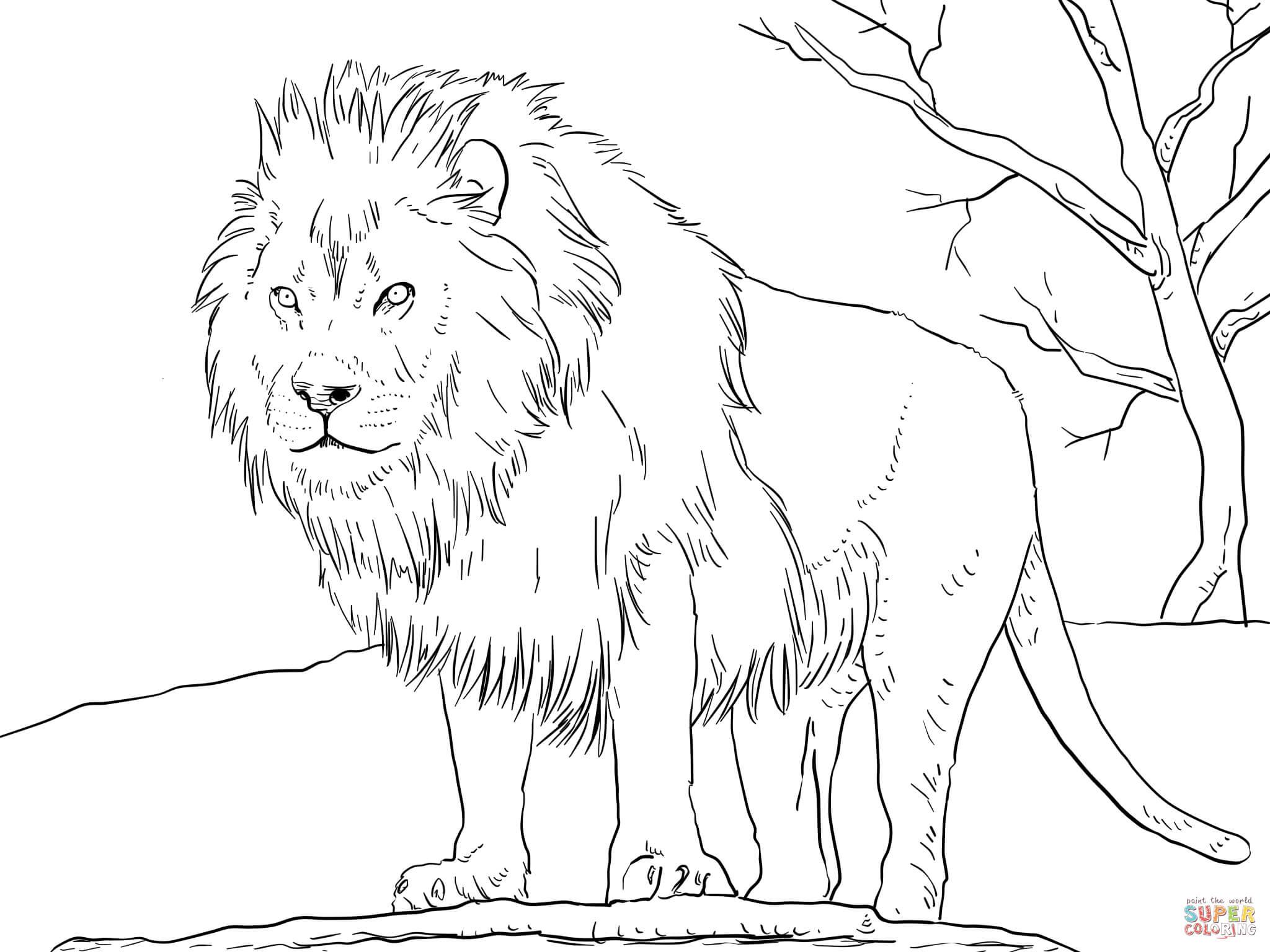 Male african lion coloring page free printable coloring pages