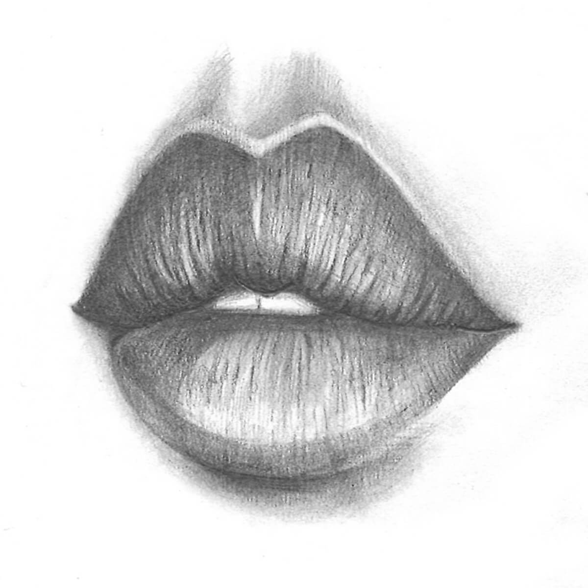 How to draw realistic lips step