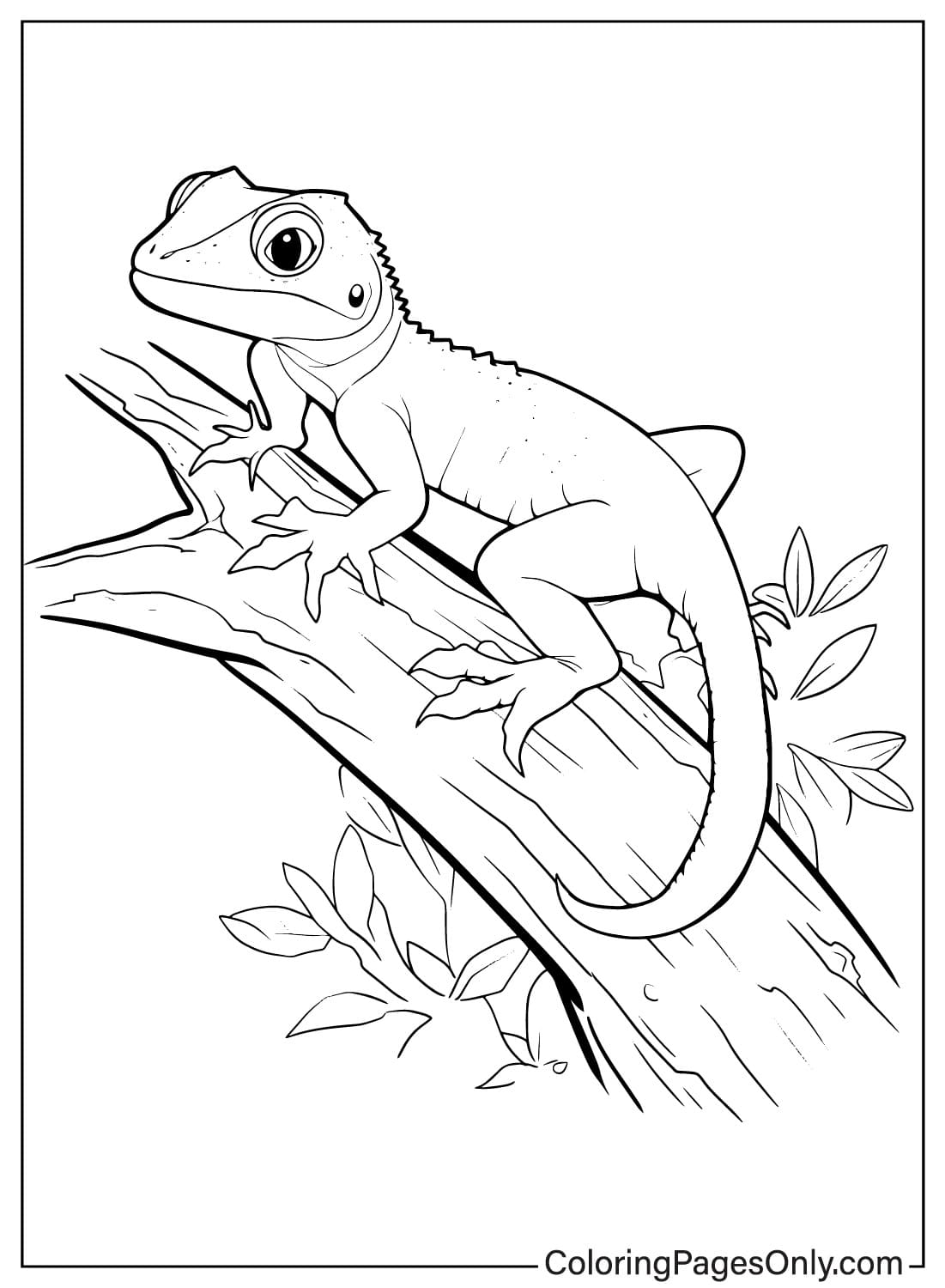 Coloring pages only on x ð free printable lizard coloring sheets ð httpstcoinmrbzuaqz lizard animals reptiles coloringpagesonly coloringpages coloringbook art fanart sketch drawing draw coloring usa trend trending trendingnow