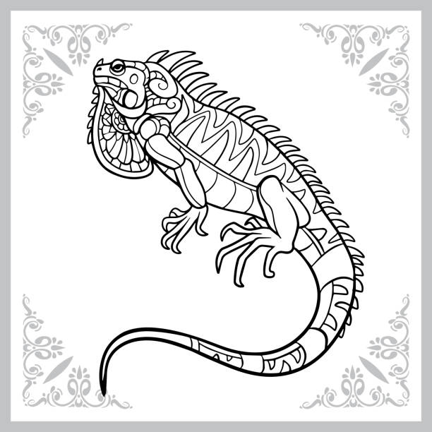 Coloring book iguana stock illustrations royalty