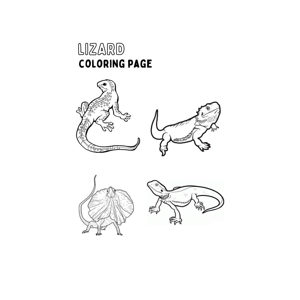 Lizard coloring pages pages of lizard coloring coloring pages for children and adults