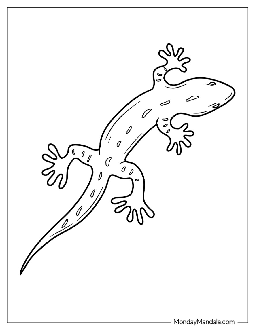 Lizard coloring pages free pdf printables