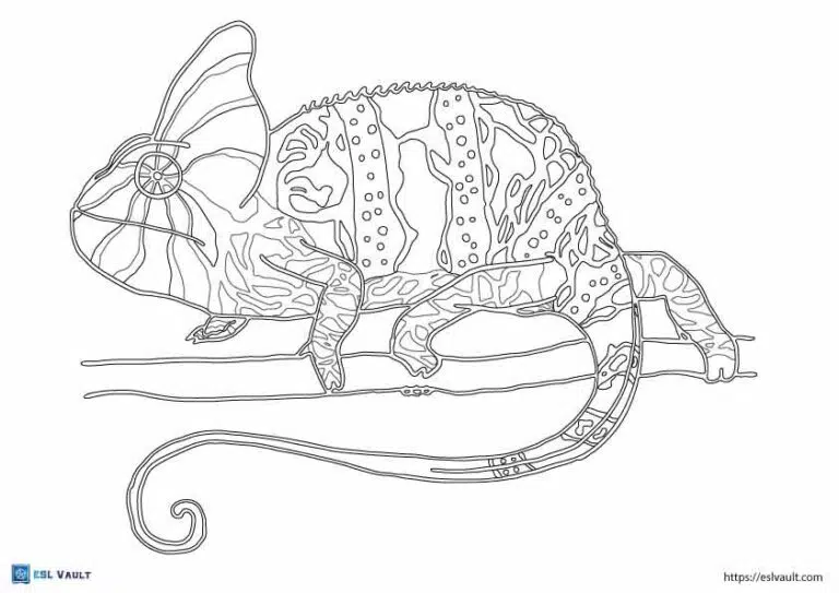 Realistic lizard coloring pages