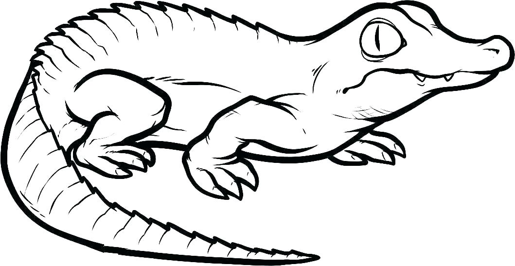 Reptile coloring pages