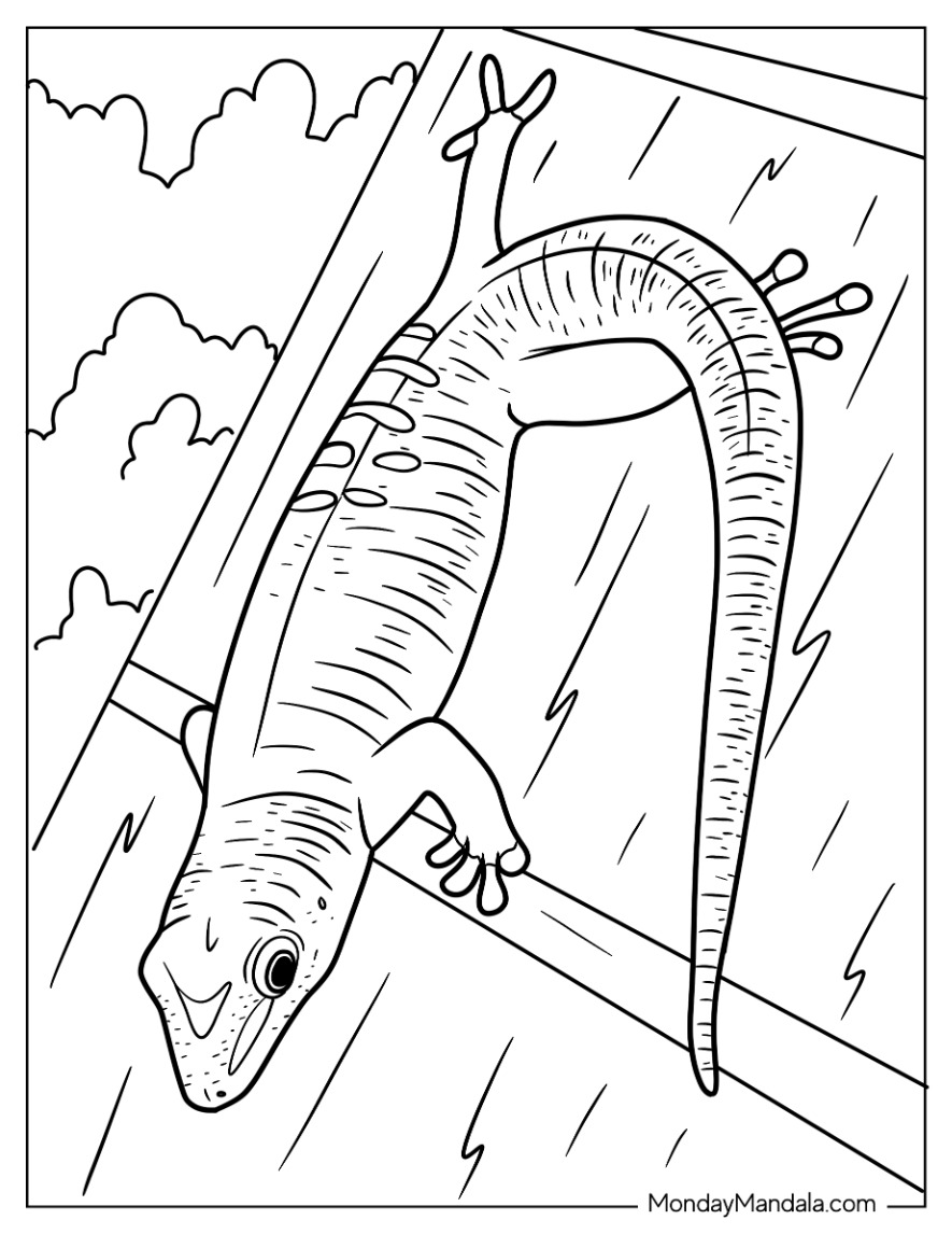 Lizard coloring pages free pdf printables