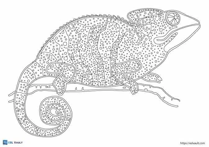 Realistic lizard coloring pages