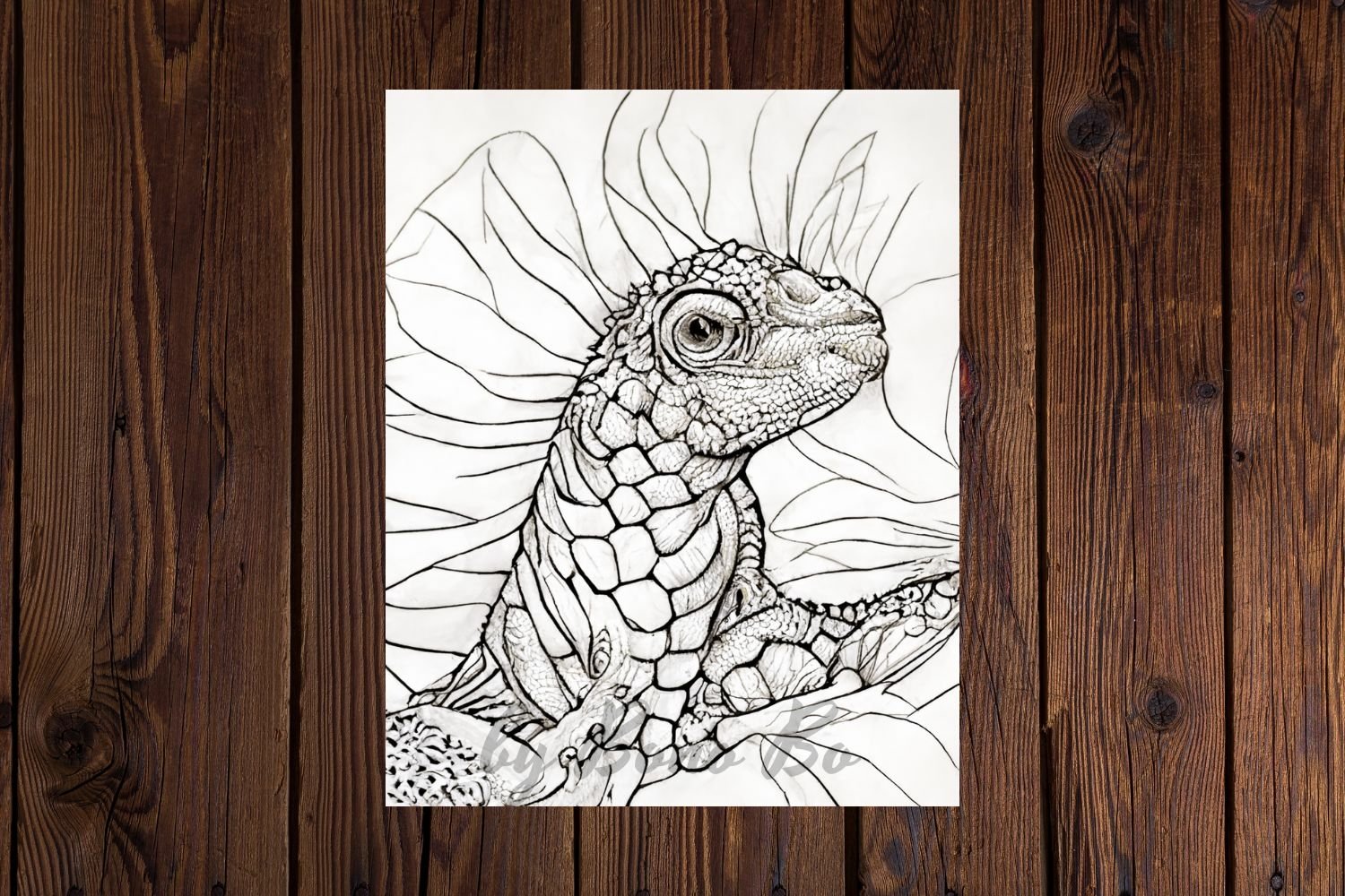 Iguana coloring pages