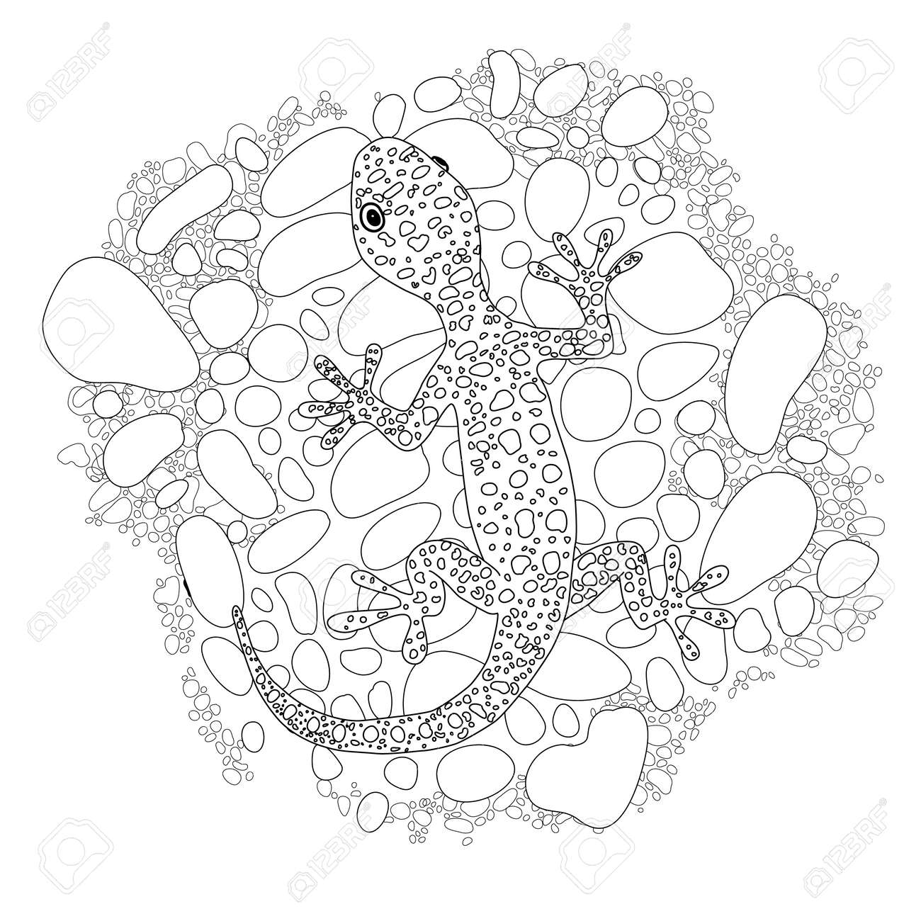 Vector lizard realistic and detailed illustration for a coloring book for adults royalty free svg cliparts vectors and stock illustration image