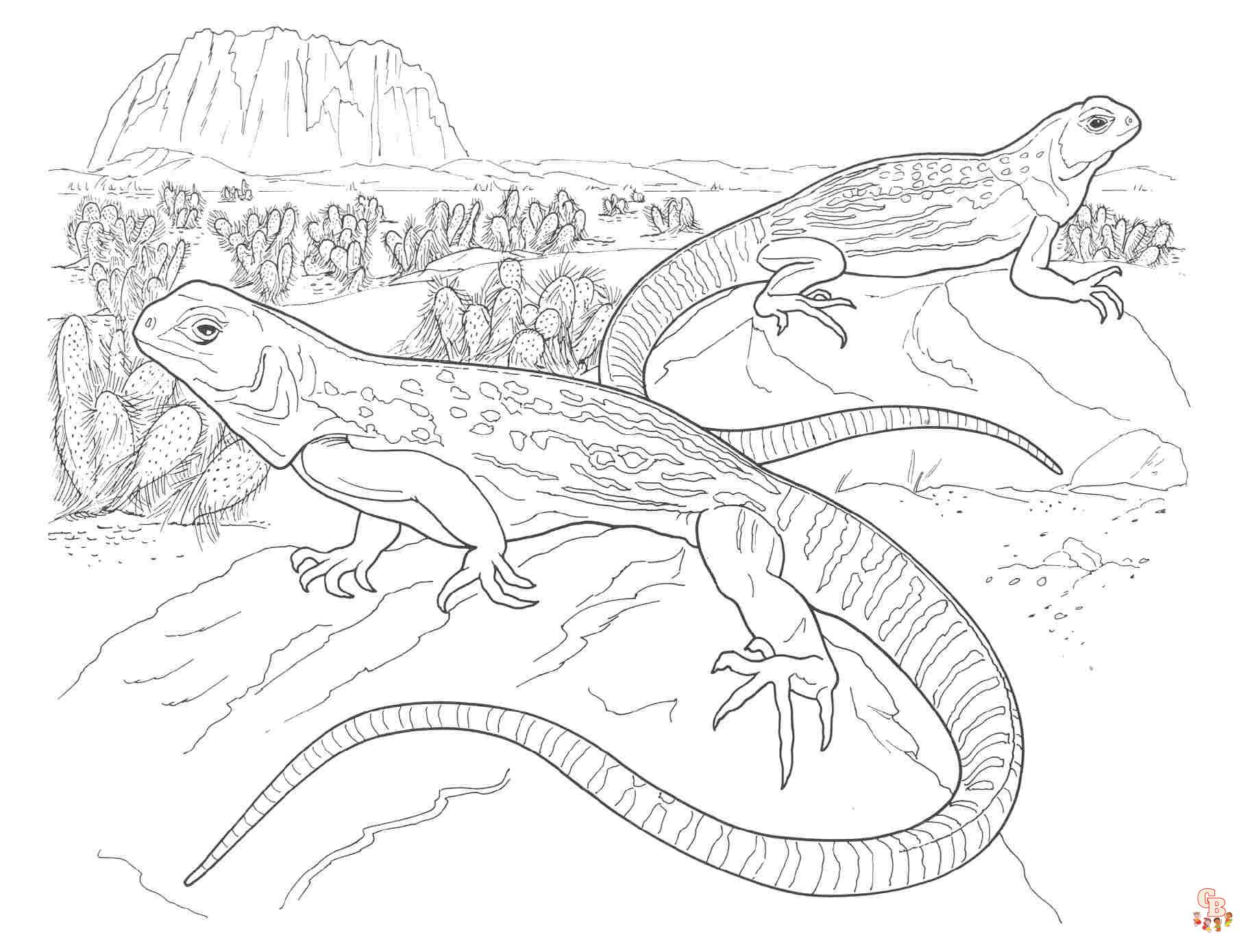 Discover free and printable iguana coloring pages on