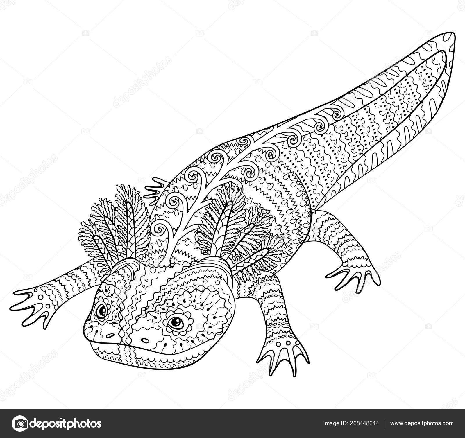 Coloring page with axolotl in patterned style stock vector by lezhepyoka