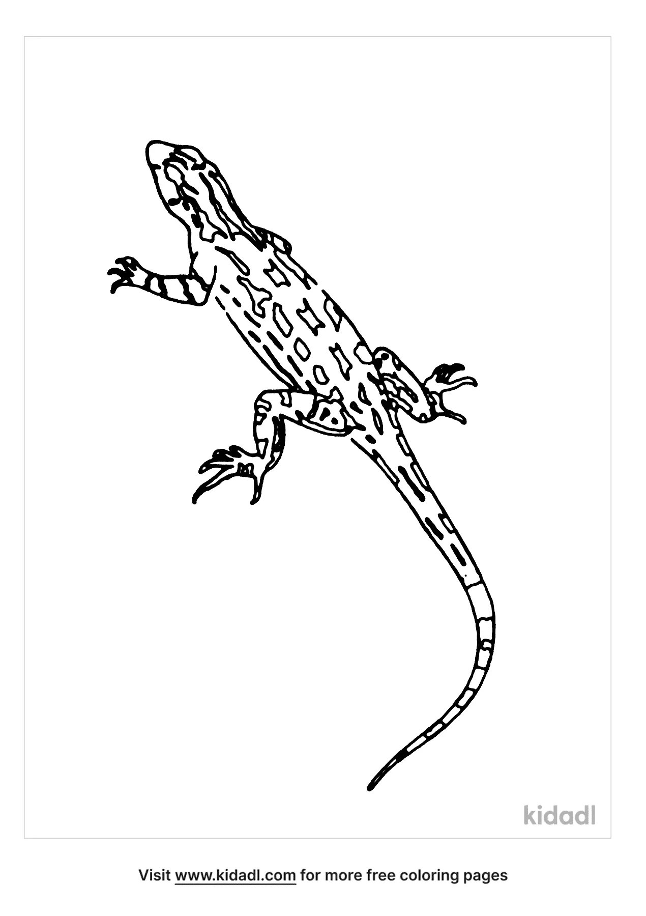 Free realistic lizard coloring page coloring page printables