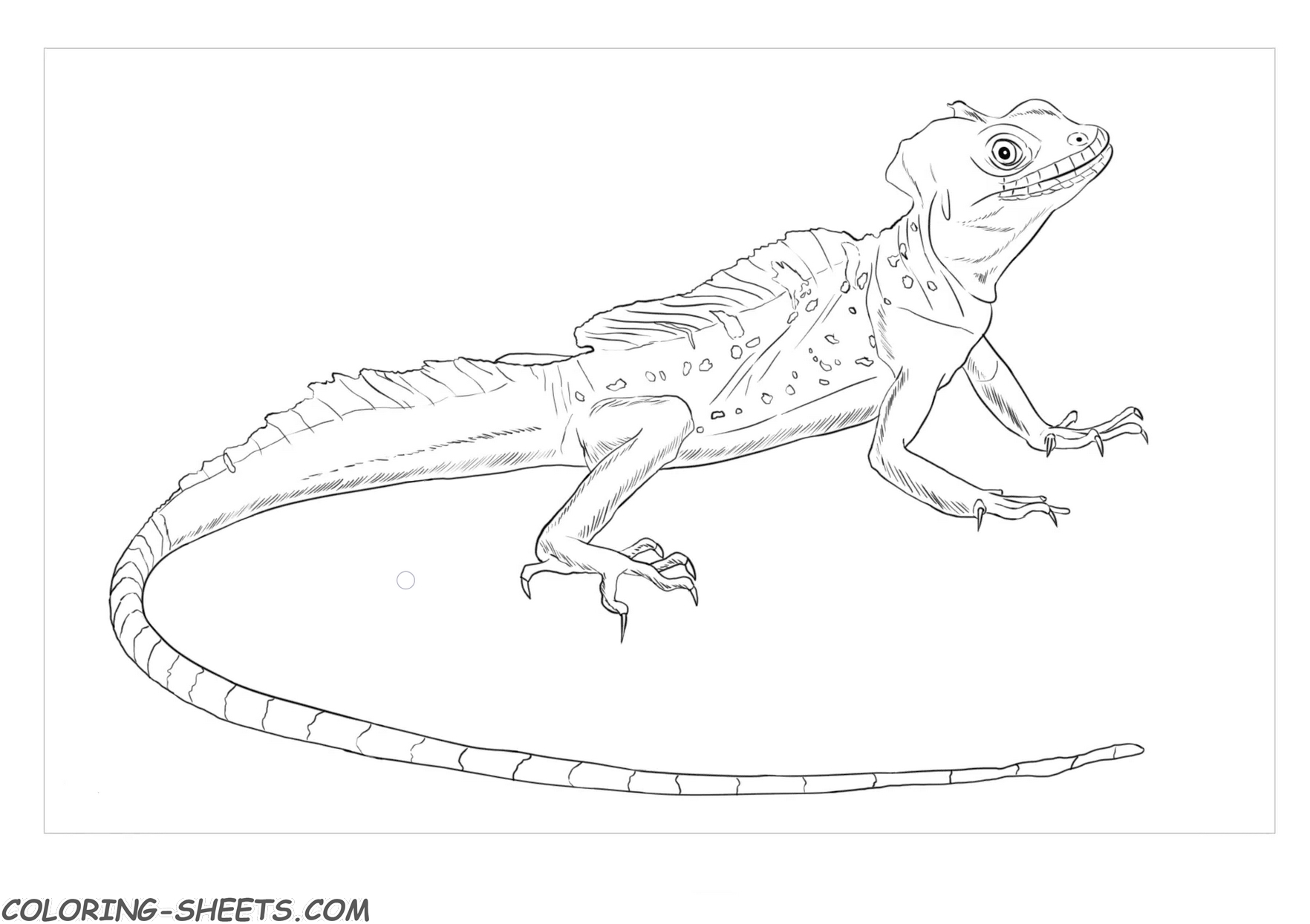 Coloring sheets and pages with lizards